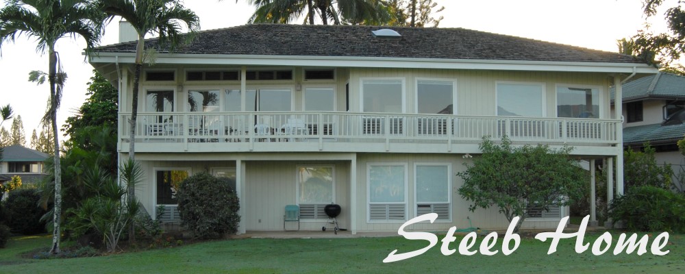 Steeb Home