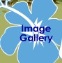 Image Gallery