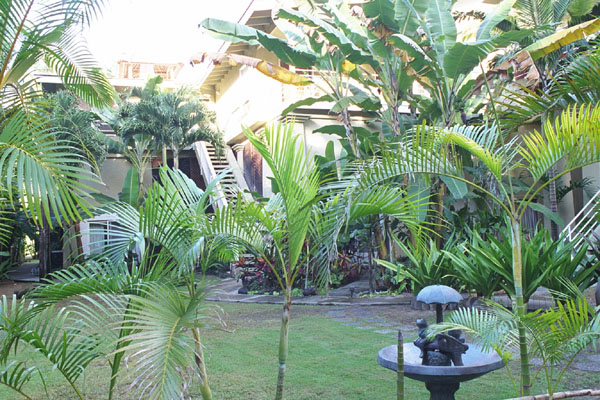 Kauai vacation rental, Hawaii vacation rental, kauai vacation rental, Kauai, Hawaii, kauai, hawaii, Tunnels Beach, tunnels beach, beachfront, accomodations, Haena, haena, kauai north shore, surfing, windsurfing, snorkeling, Hawaii Seashore Rental